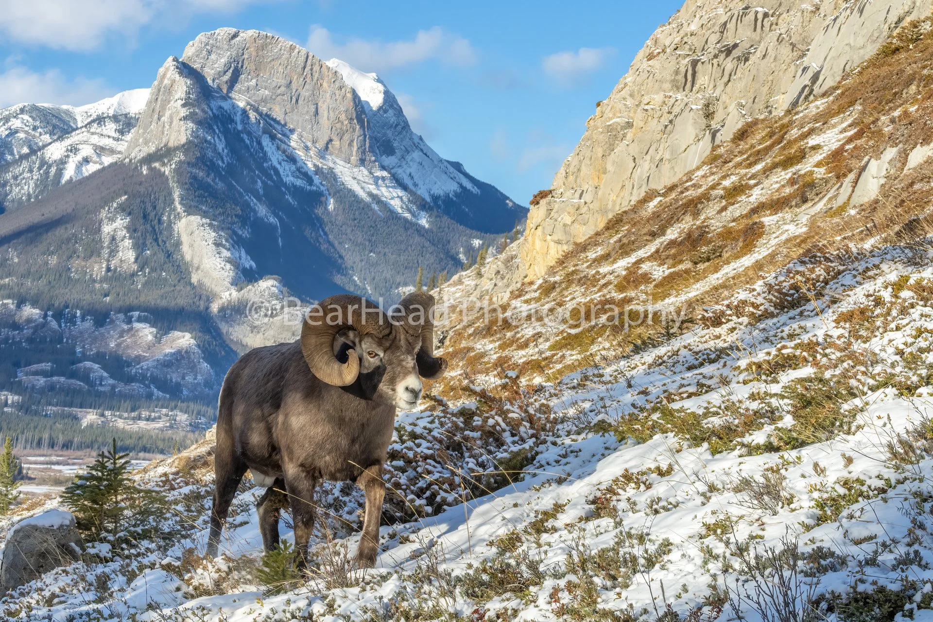 _5203757+(1)-Edit.jpg?format=1000w